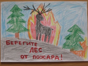 Берегите лес от пожаоа Коньков Павел, 6 лет