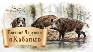 Чарушин Кабаны