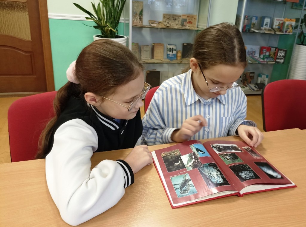 A2ZxOJ4qf6dv2t1YSGQqgZJJKixNp8xEZBnKkX_l1BF3K7JGkPI2uJq-kWacf0URGJcdUos4yOBxF0kwixgfyrN_