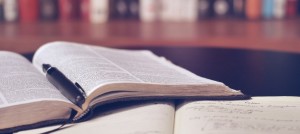 исследование 24 на сайт