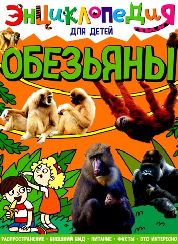 8 (3)