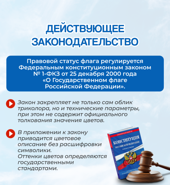 день флага РФ 7