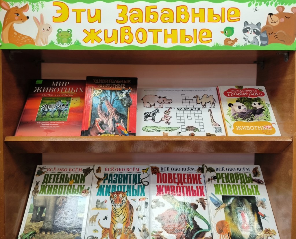 3MniH4-86kQ-9RDgnDHAZDSUejOARgPmK67KQF9nJS9QM6ApQPOgmZZm8Auob9MrE_Ea09SXBEqIf1qeMK6rUB0b