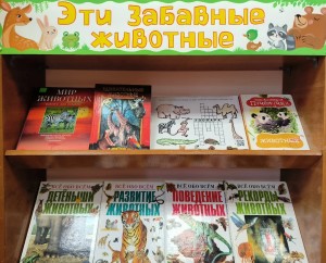 3MniH4-86kQ-9RDgnDHAZDSUejOARgPmK67KQF9nJS9QM6ApQPOgmZZm8Auob9MrE_Ea09SXBEqIf1qeMK6rUB0b